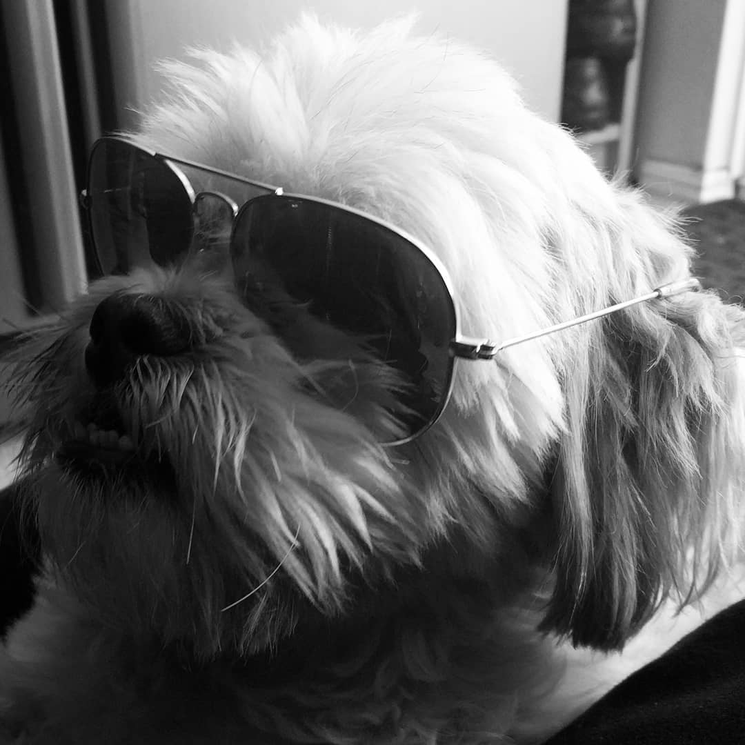 Kind Acts of Randomness